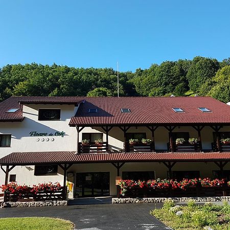 Pensiunea Floare De Colt Gáldmező Kültér fotó